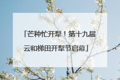 芒种忙开犁！第十九届云和梯田开犁节启幕
