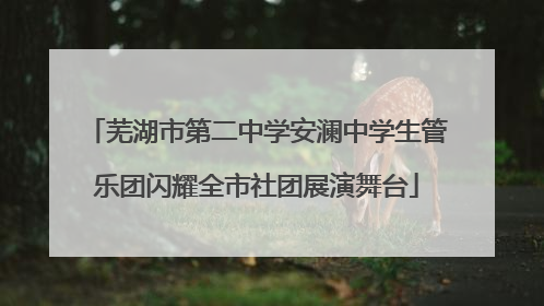 芜湖市第二中学安澜中学生管乐团闪耀全市社团展演舞台