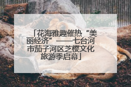 花海雅趣催热“美丽经济”——七台河市茄子河区芝樱文化旅游季启幕