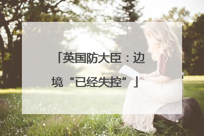英国防大臣：边境“已经失控”