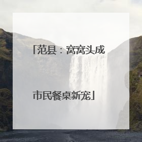 范县：窝窝头成市民餐桌新宠