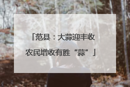 范县：大蒜迎丰收 农民增收有胜“蒜”