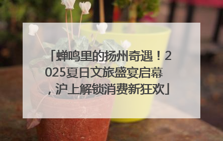 蝉鸣里的扬州奇遇！2025夏日文旅盛宴启幕，沪上解锁消费新狂欢