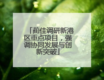 蔺佳调研新港区重点项目，强调协同发展与创新突破