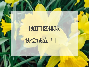 虹口区排球协会成立！