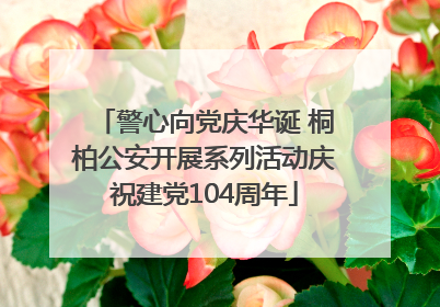警心向党庆华诞 桐柏公安开展系列活动庆祝建党104周年