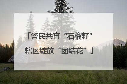 警民共育“石榴籽” 辖区绽放“团结花”