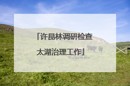 许昆林调研检查太湖治理工作