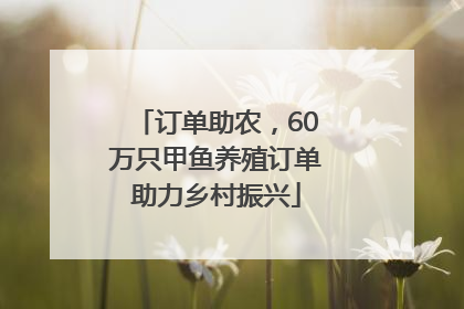 订单助农，60万只甲鱼养殖订单助力乡村振兴