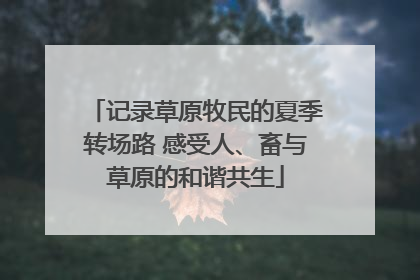 记录草原牧民的夏季转场路 感受人、畜与草原的和谐共生
