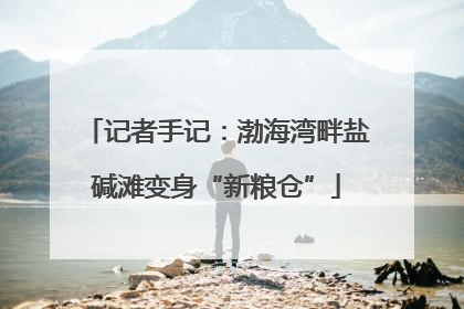 记者手记：渤海湾畔盐碱滩变身“新粮仓”