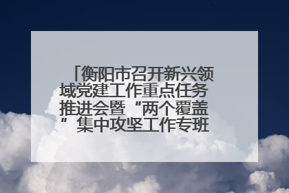 衡阳市召开新兴领域党建工作重点任务推进会暨“两个覆盖”集中攻坚工作专班 第一次会议