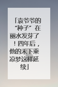 袁爷爷的“种子”在丽水发芽了！四年后，他的禾下乘凉梦这样延续