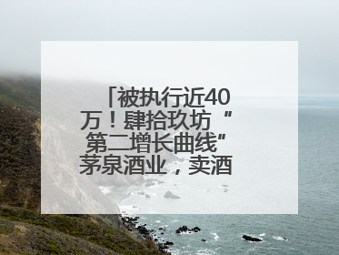 被执行近40万！肆拾玖坊“第二增长曲线”茅泉酒业，卖酒还是卖模式？