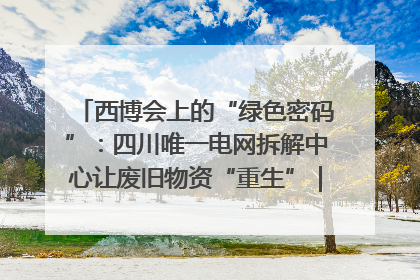 西博会上的“绿色密码”：四川唯一电网拆解中心让废旧物资“重生”｜西博寻“新”记