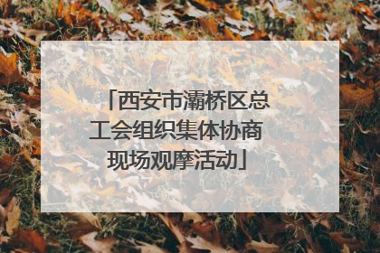 西安市灞桥区总工会组织集体协商现场观摩活动