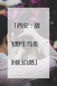 西安：放飞野生鸟类回归自然