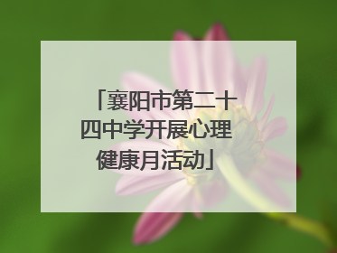 襄阳市第二十四中学开展心理健康月活动