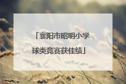 襄阳市昭明小学球类竞赛获佳绩