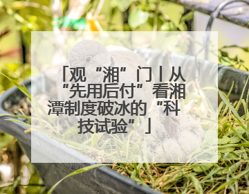 观“湘”门丨从“先用后付”看湘潭制度破冰的“科技试验”
