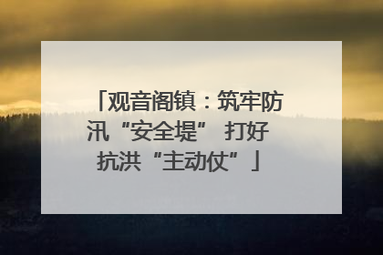 观音阁镇：筑牢防汛“安全堤” 打好抗洪“主动仗”