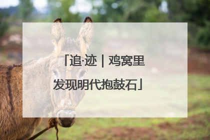 追·迹｜鸡窝里发现明代抱鼓石