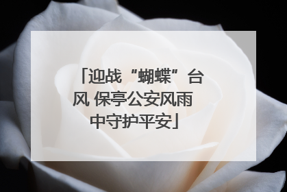 迎战“蝴蝶”台风 保亭公安风雨中守护平安