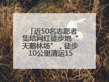 近50名志愿者集结网红徒步地“天鹅林场”，徒步10公里清运150余斤山野垃圾