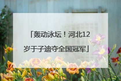 轰动泳坛！河北12岁于子迪夺全国冠军