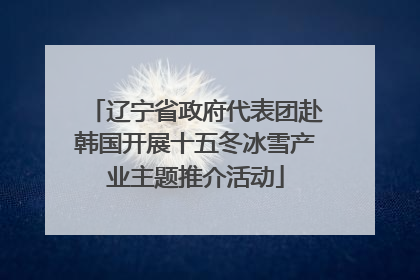 辽宁省政府代表团赴韩国开展十五冬冰雪产业主题推介活动