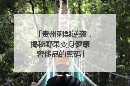 贵州刺梨逆袭，揭秘野果变身健康奢侈品的密码