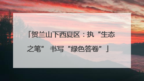 贺兰山下西夏区：执“生态之笔” 书写“绿色答卷”