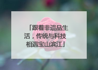跟着非遗品生活，传统与科技相遇宝山滨江