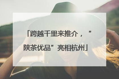 跨越千里来推介，“陕茶优品”亮相杭州