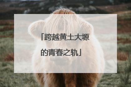 跨越黄土大塬的青春之轨