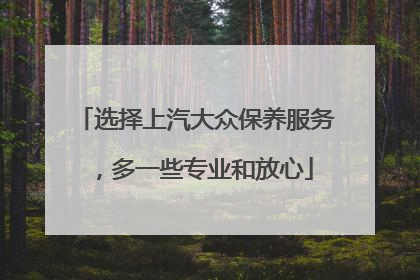 选择上汽大众保养服务，多一些专业和放心