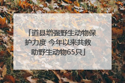 道县增强野生动物保护力度 今年以来共救助野生动物65只