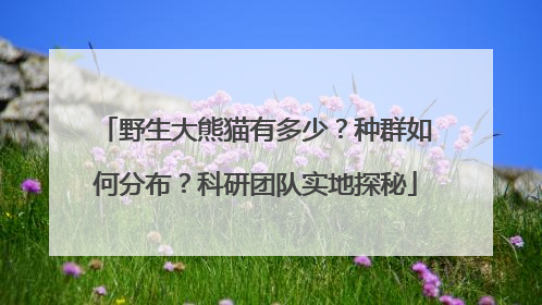 野生大熊猫有多少？种群如何分布？科研团队实地探秘