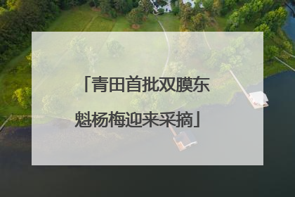 青田首批双膜东魁杨梅迎来采摘