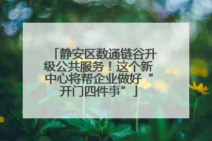 静安区数通链谷升级公共服务！这个新中心将帮企业做好“开门四件事”