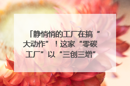 静悄悄的工厂在搞“大动作”！这家“零碳工厂”以“三创三增”探索共富新路径｜网络名人四川行