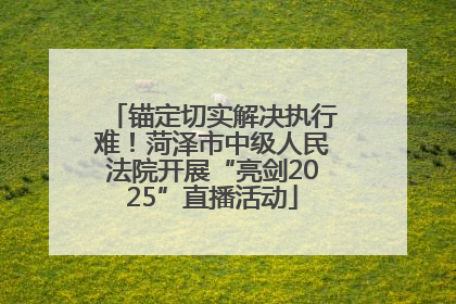 锚定切实解决执行难！菏泽市中级人民法院开展“亮剑2025”直播活动