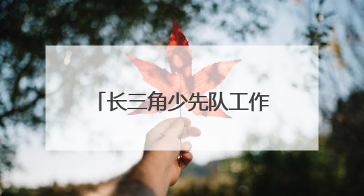 长三角少先队工作者开展交流活动
