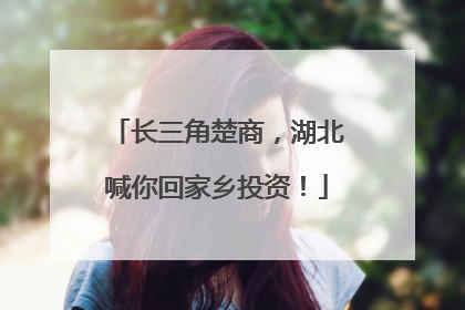长三角楚商，湖北喊你回家乡投资！