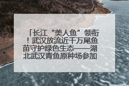 长江“美人鱼”领衔!武汉放流近千万尾鱼苗守护绿色生态——湖北武汉青鱼原种场参加2025年“全国放鱼日”增殖放流活动