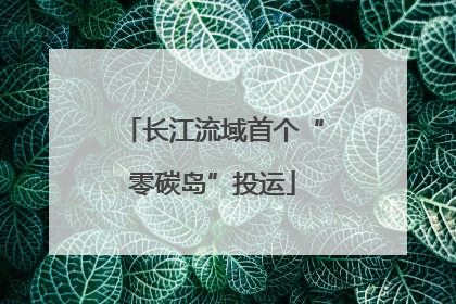 长江流域首个“零碳岛”投运