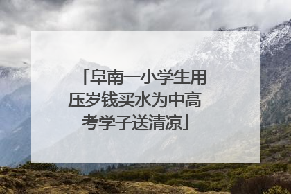 阜南一小学生用压岁钱买水为中高考学子送清凉