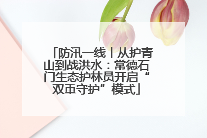 防汛一线丨从护青山到战洪水：常德石门生态护林员开启“双重守护”模式