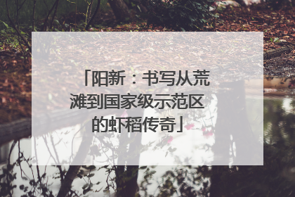 阳新：书写从荒滩到国家级示范区的虾稻传奇