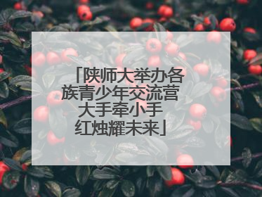陕师大举办各族青少年交流营 大手牵小手 红烛耀未来